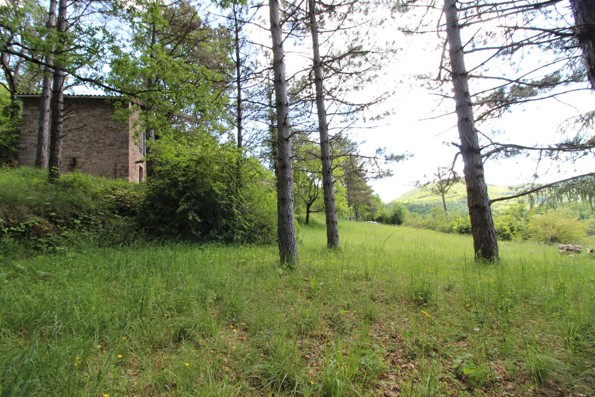Terrain à SAINT-AFFRIQUE