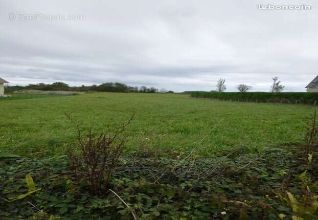 Terrain à COMMES