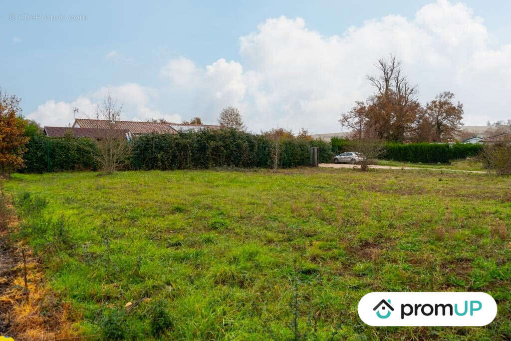Terrain à BESSIERES