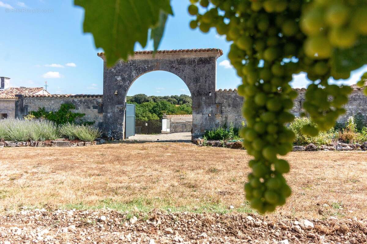 Domaine rural historique et prestigieux avec logements d'hôtes - photo 16