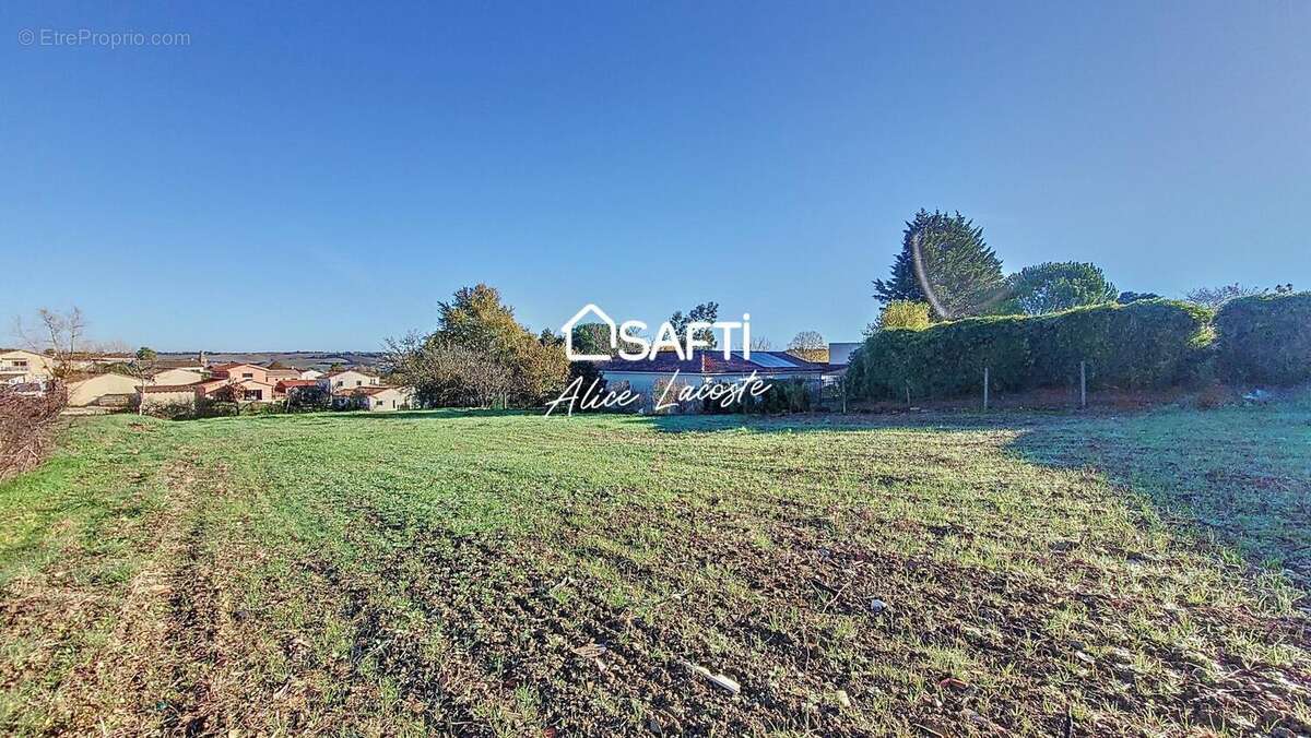 Photo 3 - Terrain à SAINT-SULPICE-SUR-LEZE