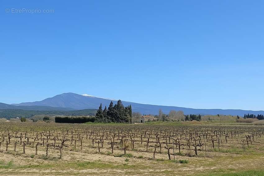 Maison à BEAUMONT-DU-VENTOUX