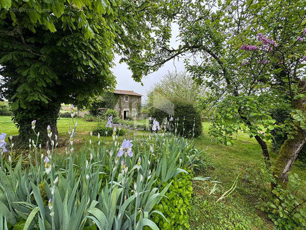 Maison à AZAY-LE-BRULE