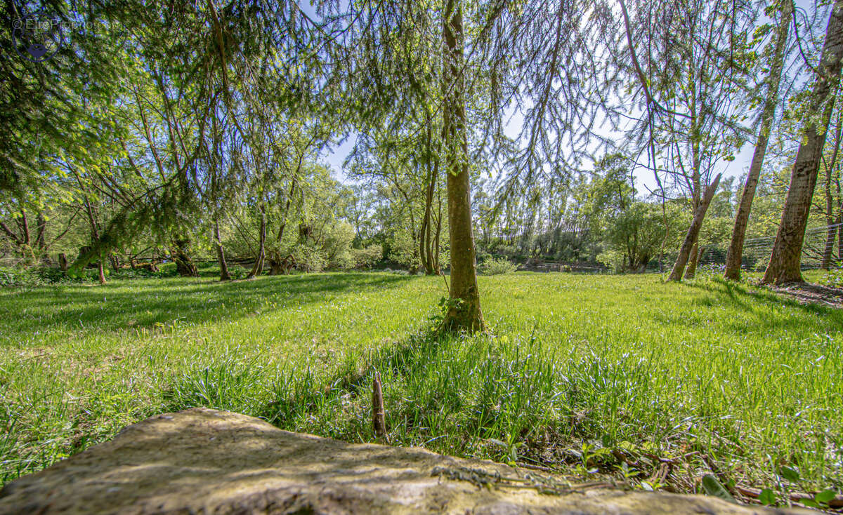 Terrain à SAINT-MIHIEL