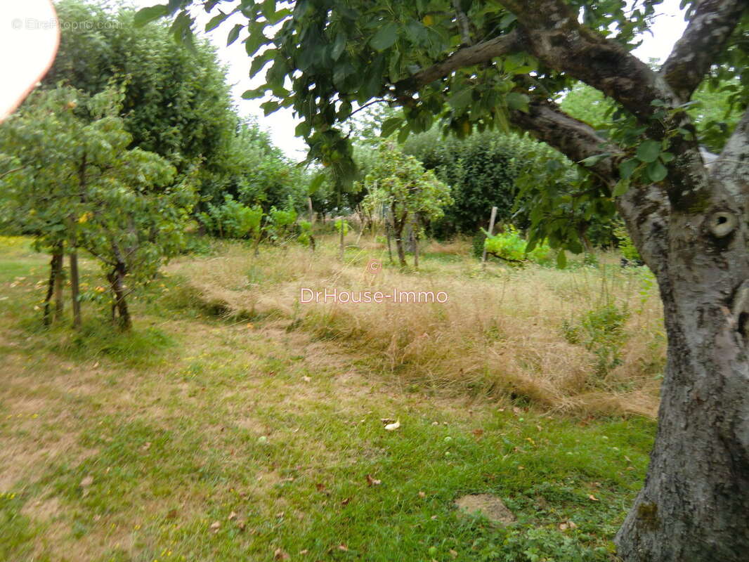 Terrain 1566 m² à Masseube  - photo 11