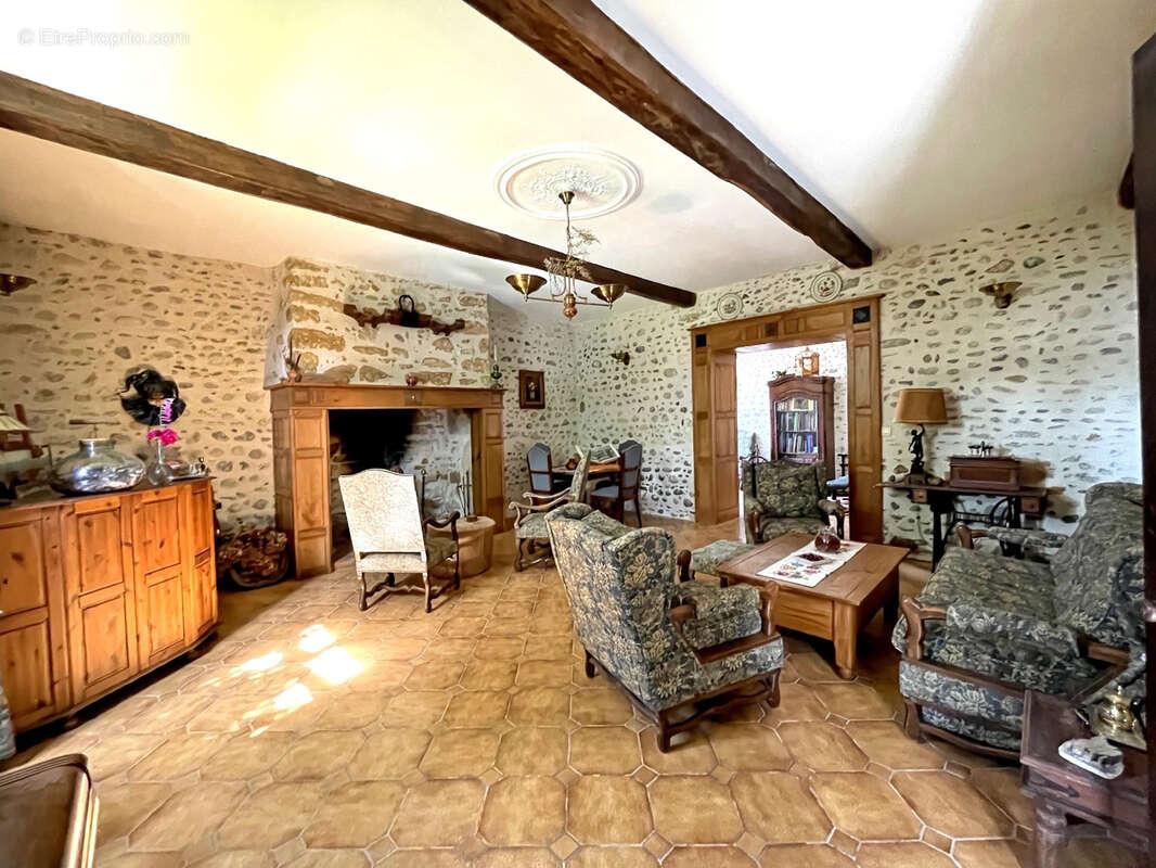 Rare enclos béarnais du XVIIe au XIXe siècle, au cœur de la vallée de Nay - photo 4