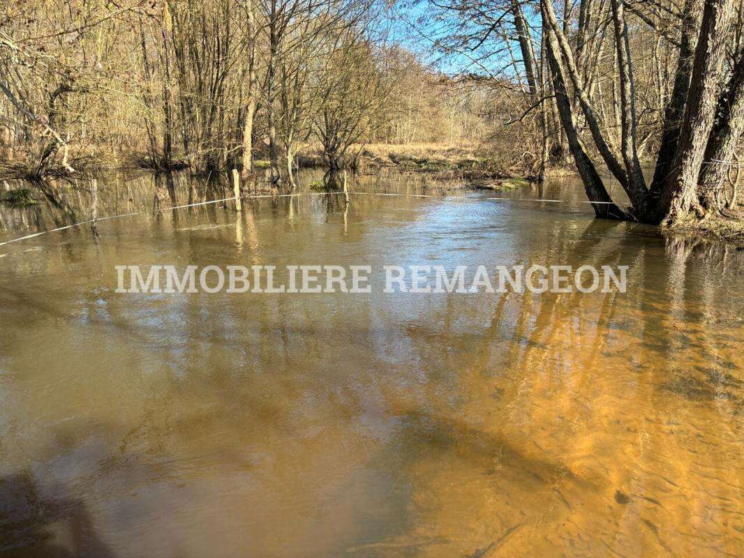 Maison à NEUVY-SUR-BARANGEON