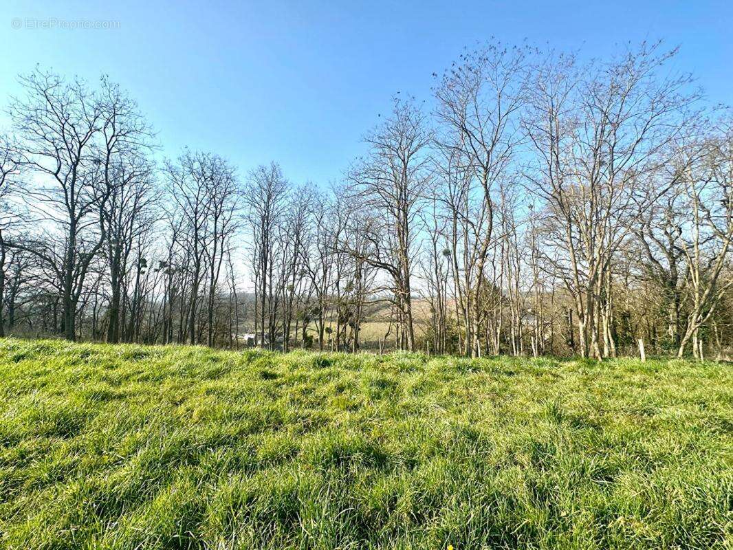 Terrain à CHATEAU-DU-LOIR