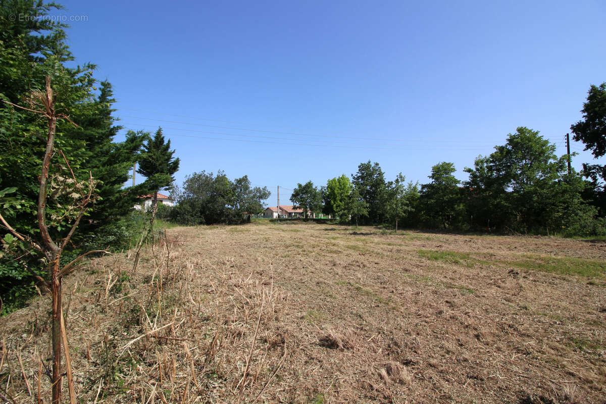 Ideal investisseur, terrain constructible de 1014m2 avec tae. - photo 2
