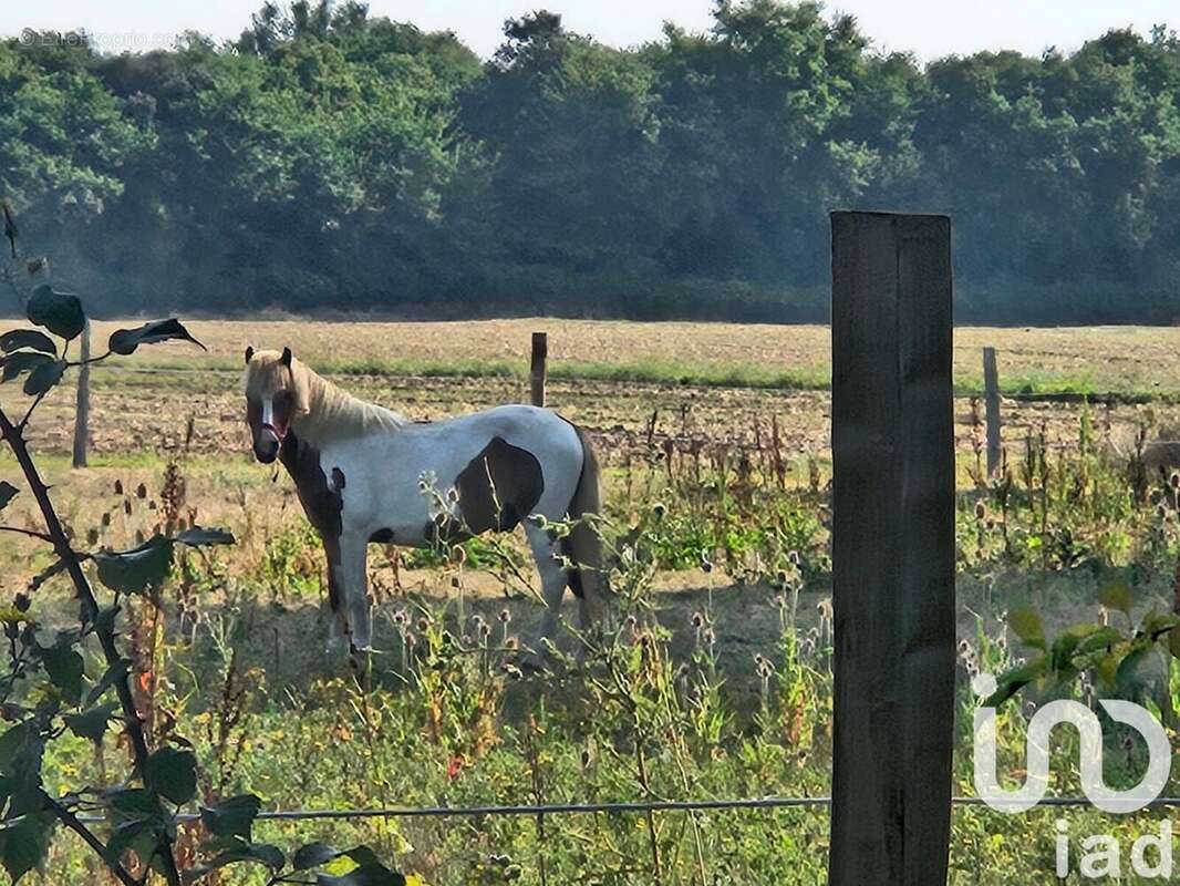 Photo 5 - Terrain à LE GUA