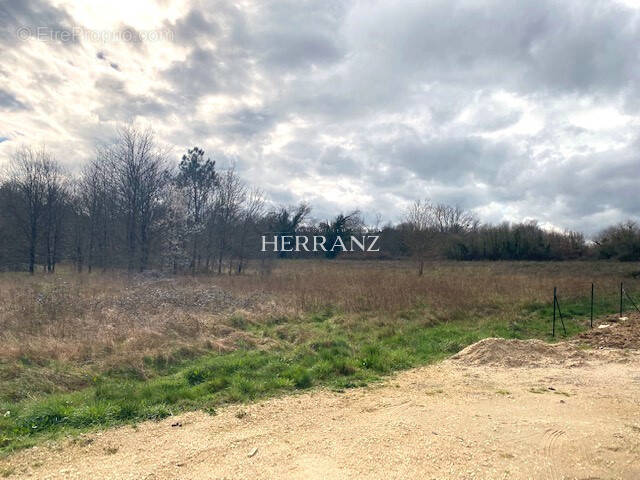 Terrain à LAGORCE