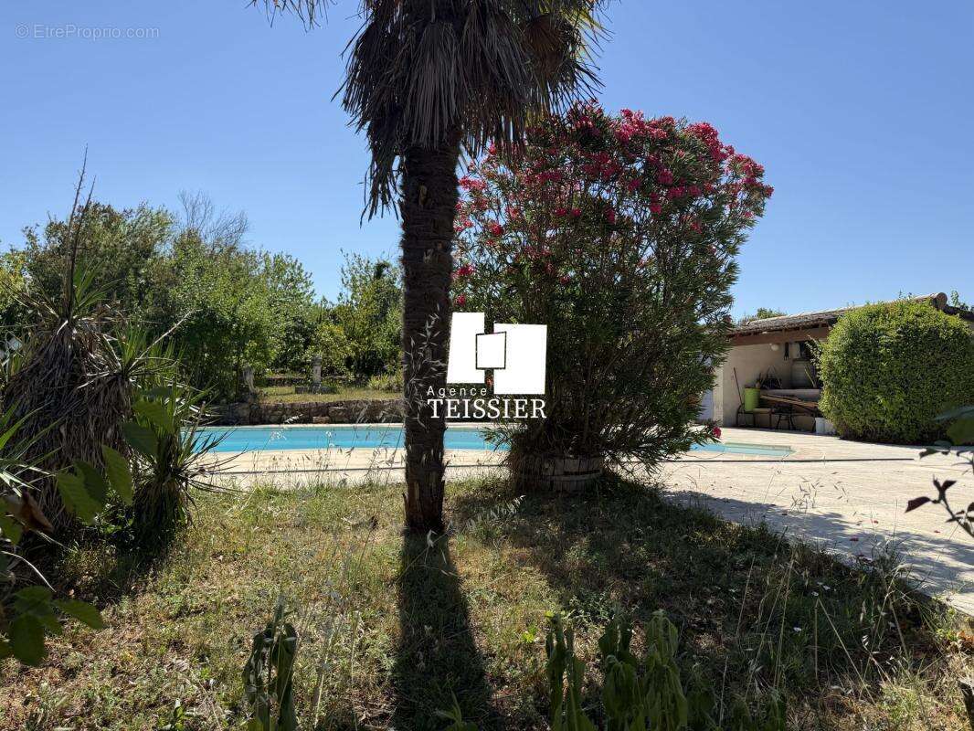 Sud Ardèche : 07260 Rosieres, Villa avec piscine sur 6800 m² - photo 12