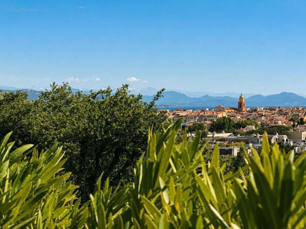 Photo 4 - Appartement à SAINT-TROPEZ