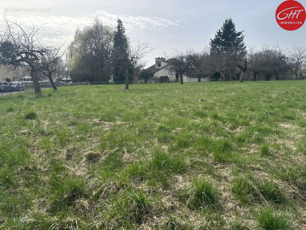 Terrain à PESMES