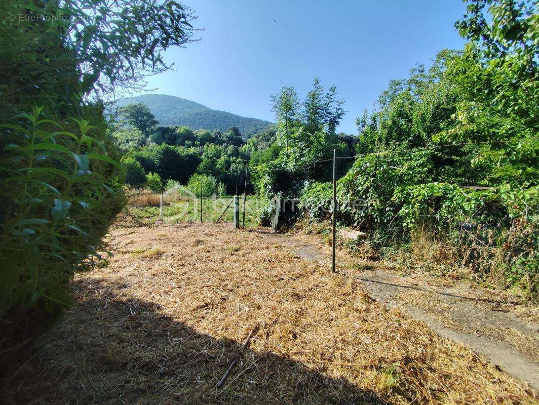 Maison à SAINT-ETIENNE-D&#039;ALBAGNAN