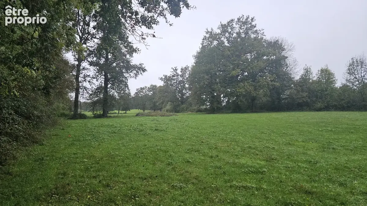 Terrain à SAINT-BONNET-DE-BELLAC