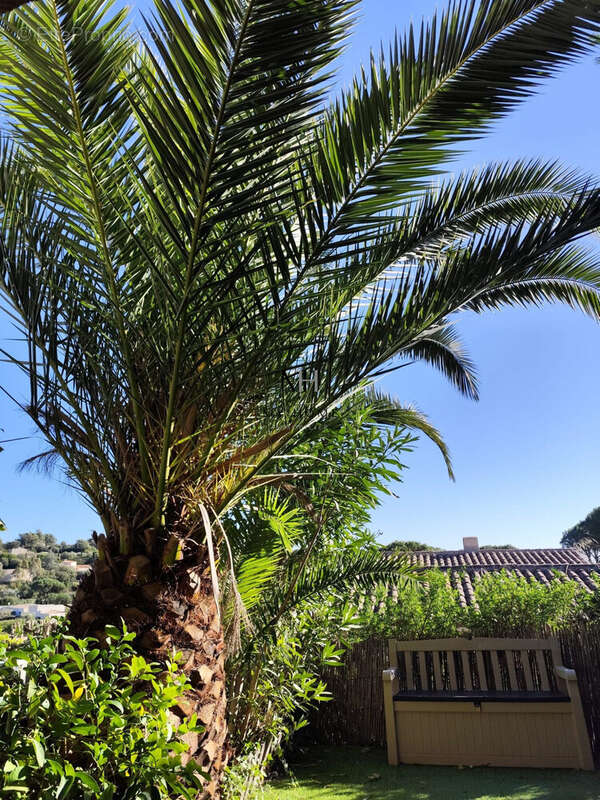 Appartement à SAINTE-MAXIME