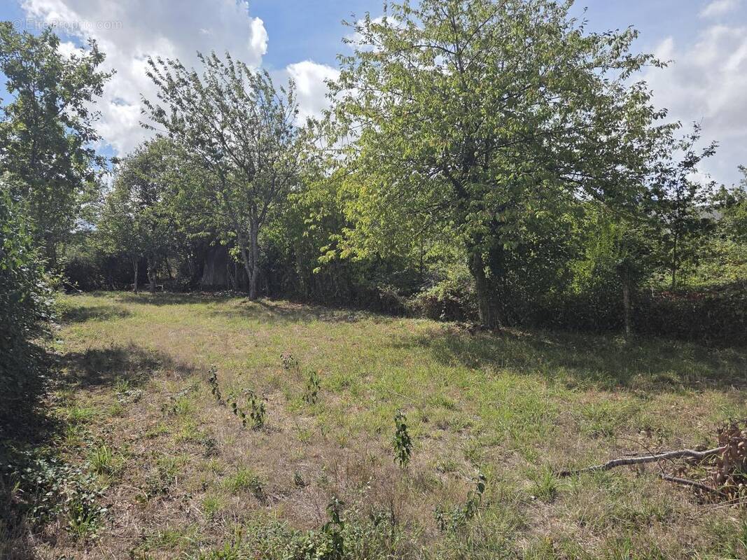 Terrain à GREZ-EN-BOUERE