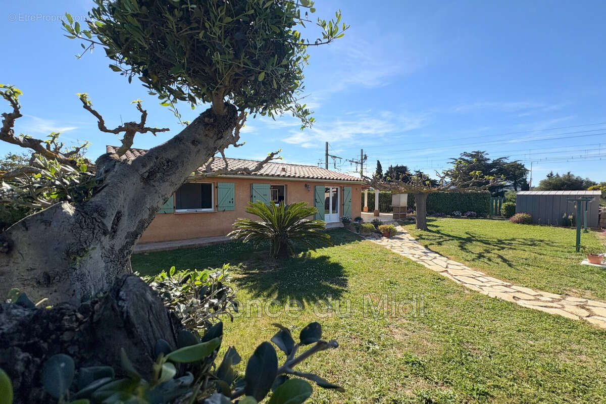Maison à LEUCATE