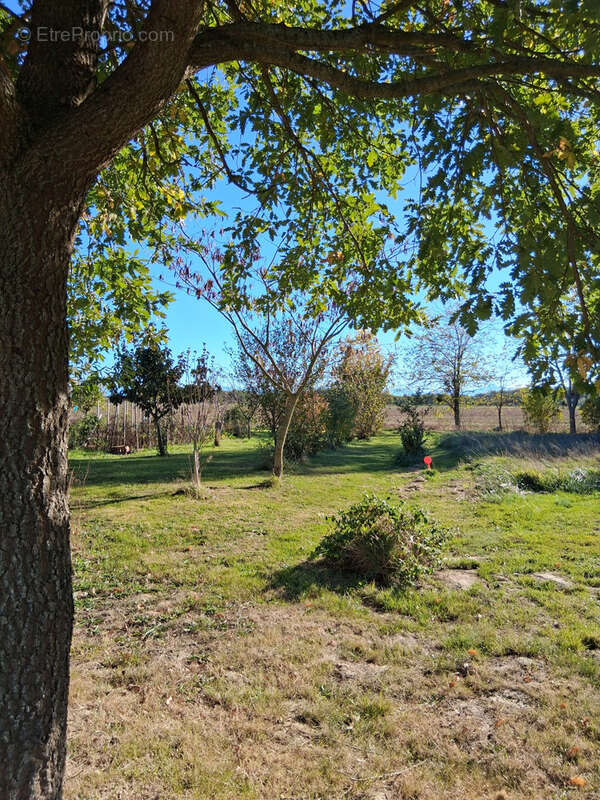 Terrain à MONTESQUIEU-VOLVESTRE