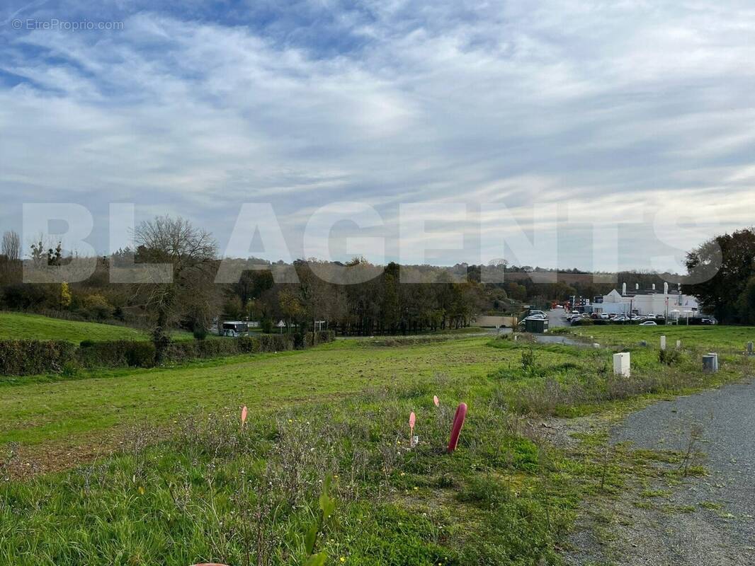 IMG-20251129-WA0002 - Terrain à MOUCHAMPS