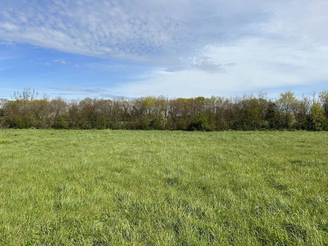 Terrain à SAINT-LAURENT-DE-LA-PREE