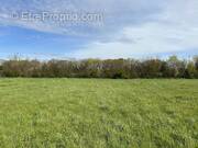 Terrain à SAINT-LAURENT-DE-LA-PREE