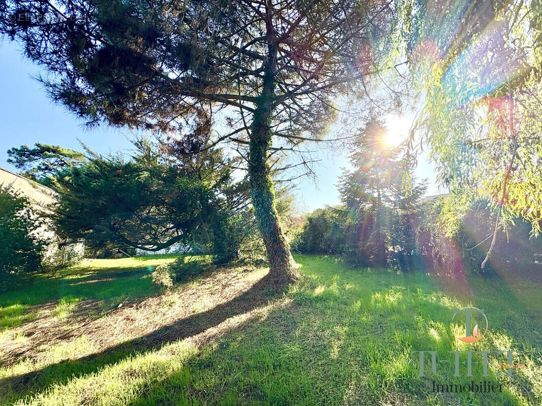 Terrain à LES MATHES