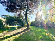 Terrain à LES MATHES