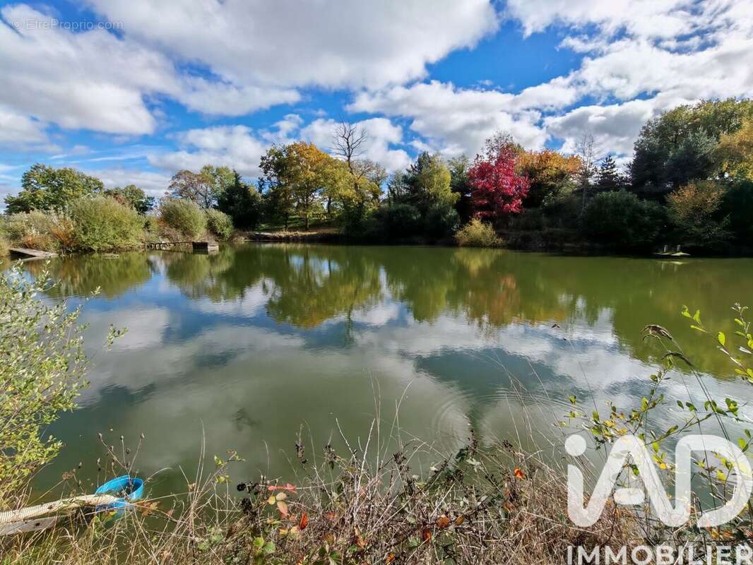 Photo 3 - Terrain à NERIS-LES-BAINS
