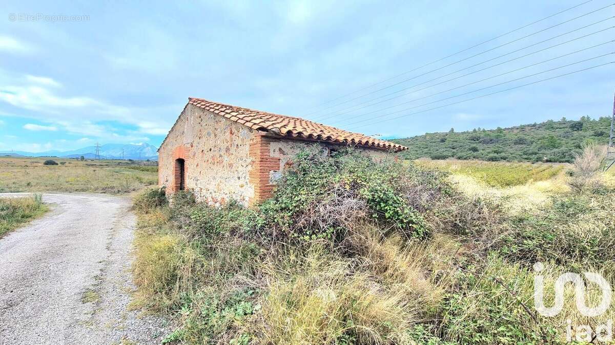 Photo 4 - Terrain à TAUTAVEL