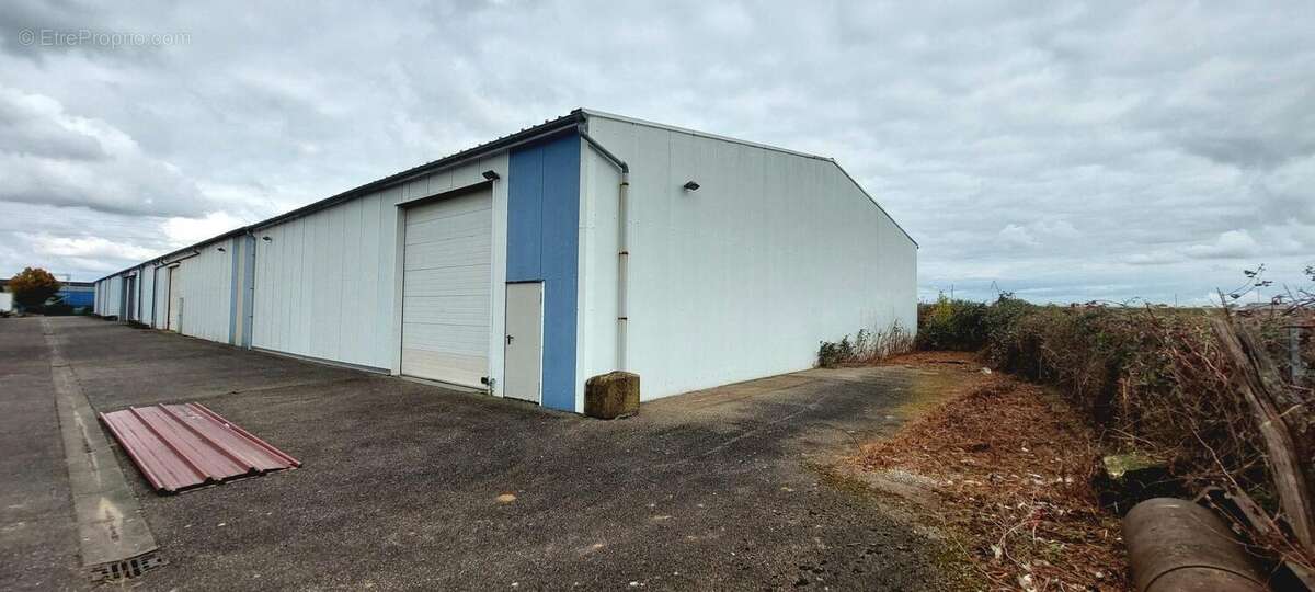 Photo 8 - Commerce à DUTTLENHEIM