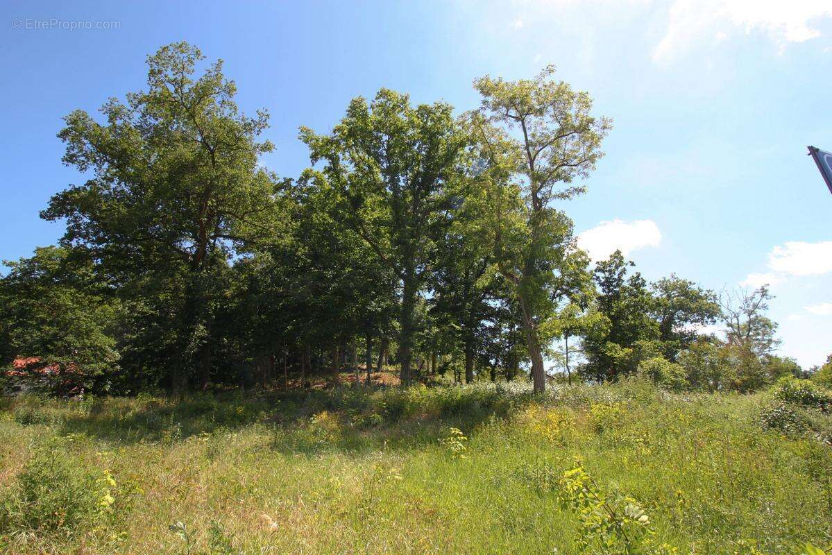Terrain à SAINTE-MESME