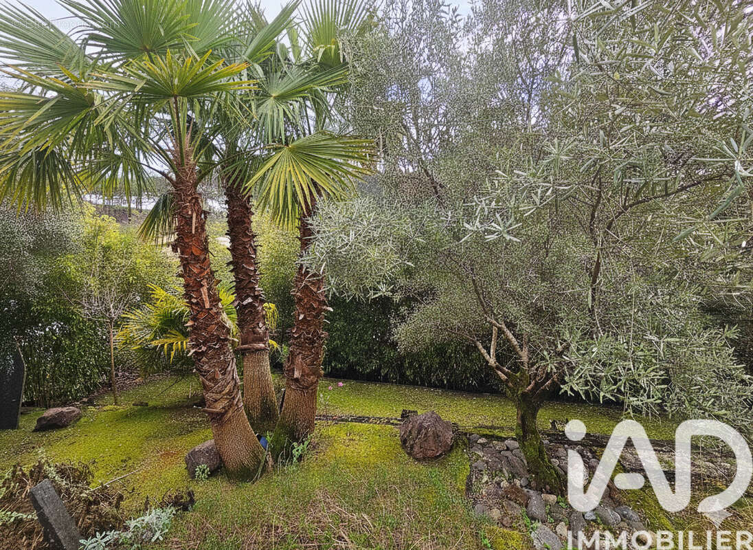 Photo 7 - Maison à LE BOUSCAT