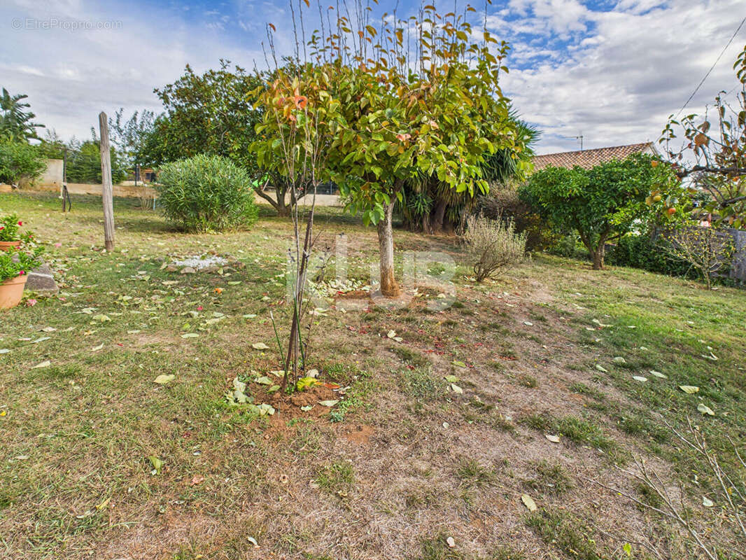 Maison à SORBO-OCAGNANO