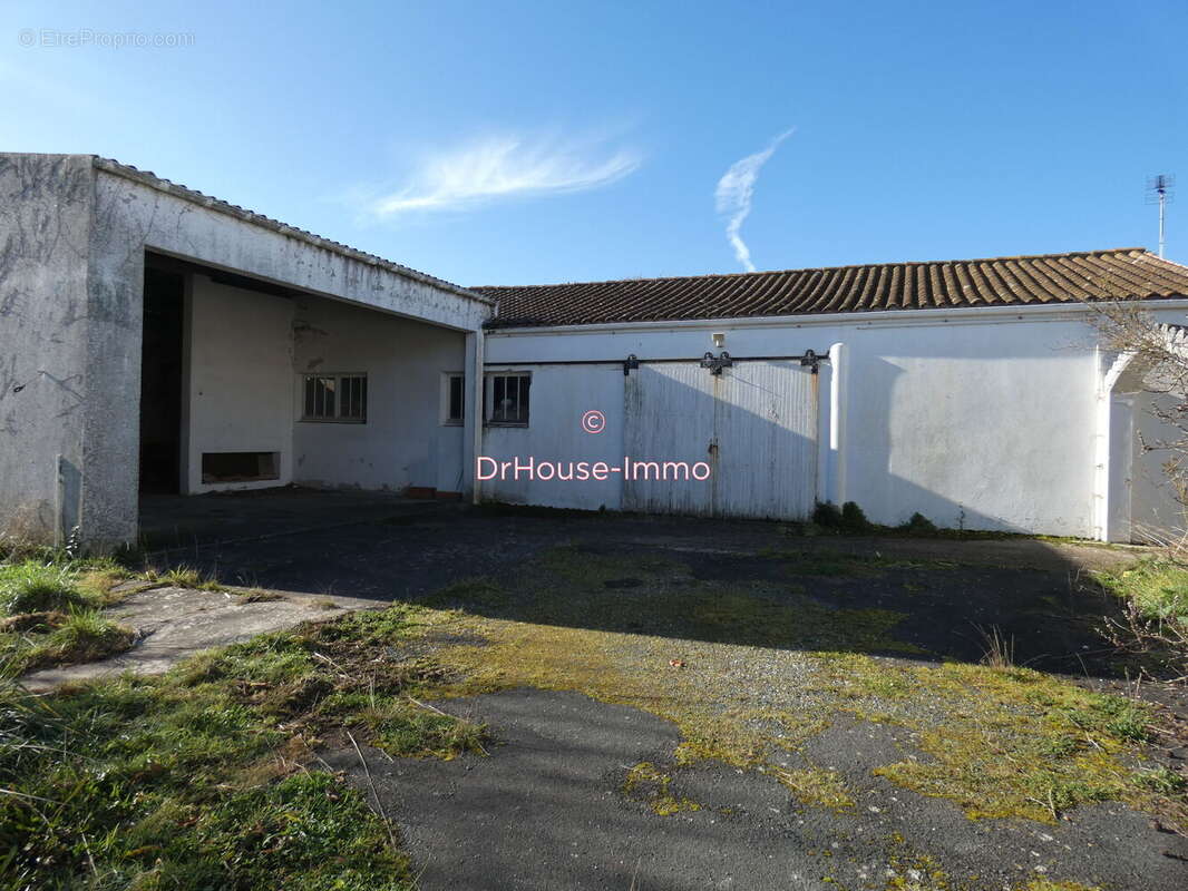 Parking 140 m² à Saint-Pierre-D'oleron  - photo 3