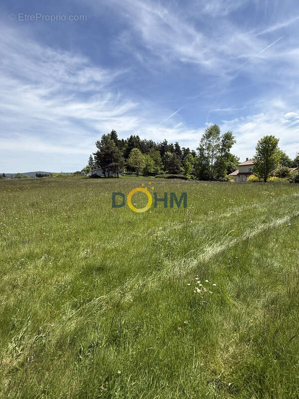 Terrain à SAINT-PAL-DE-MONS