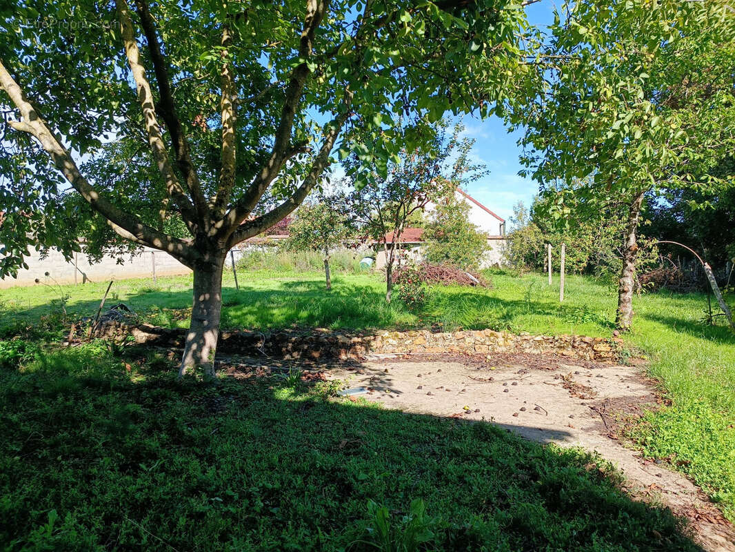Maison à SANCERGUES