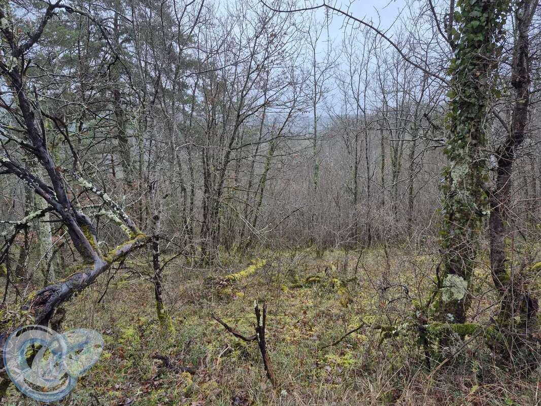 Terrain à SAINT-CYBRANET