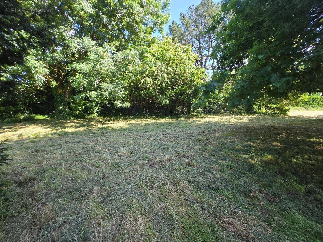 Terrain à ECHILLAIS