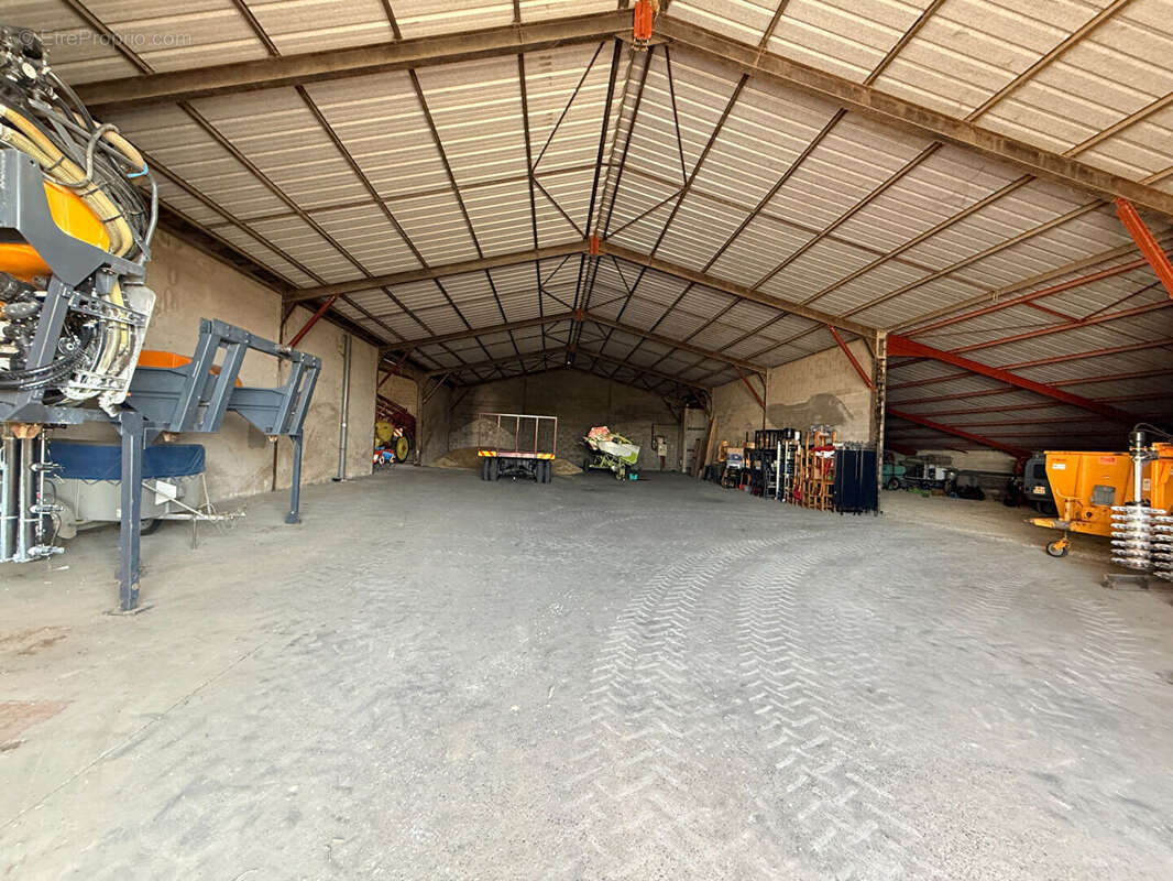 Commerce à MONTREUIL-BELLAY