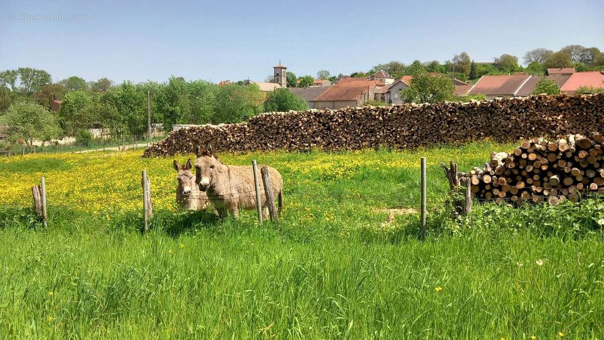 Maison à REGNEVELLE