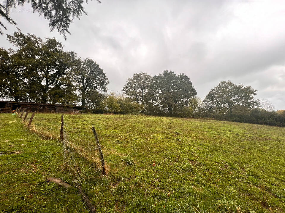 Terrain à SANSAC-DE-MARMIESSE