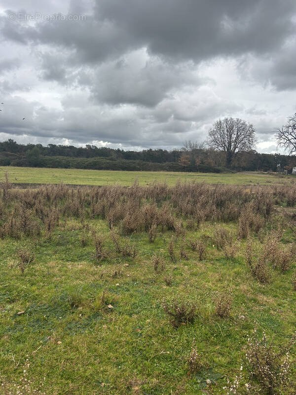 Terrain à GHISONACCIA