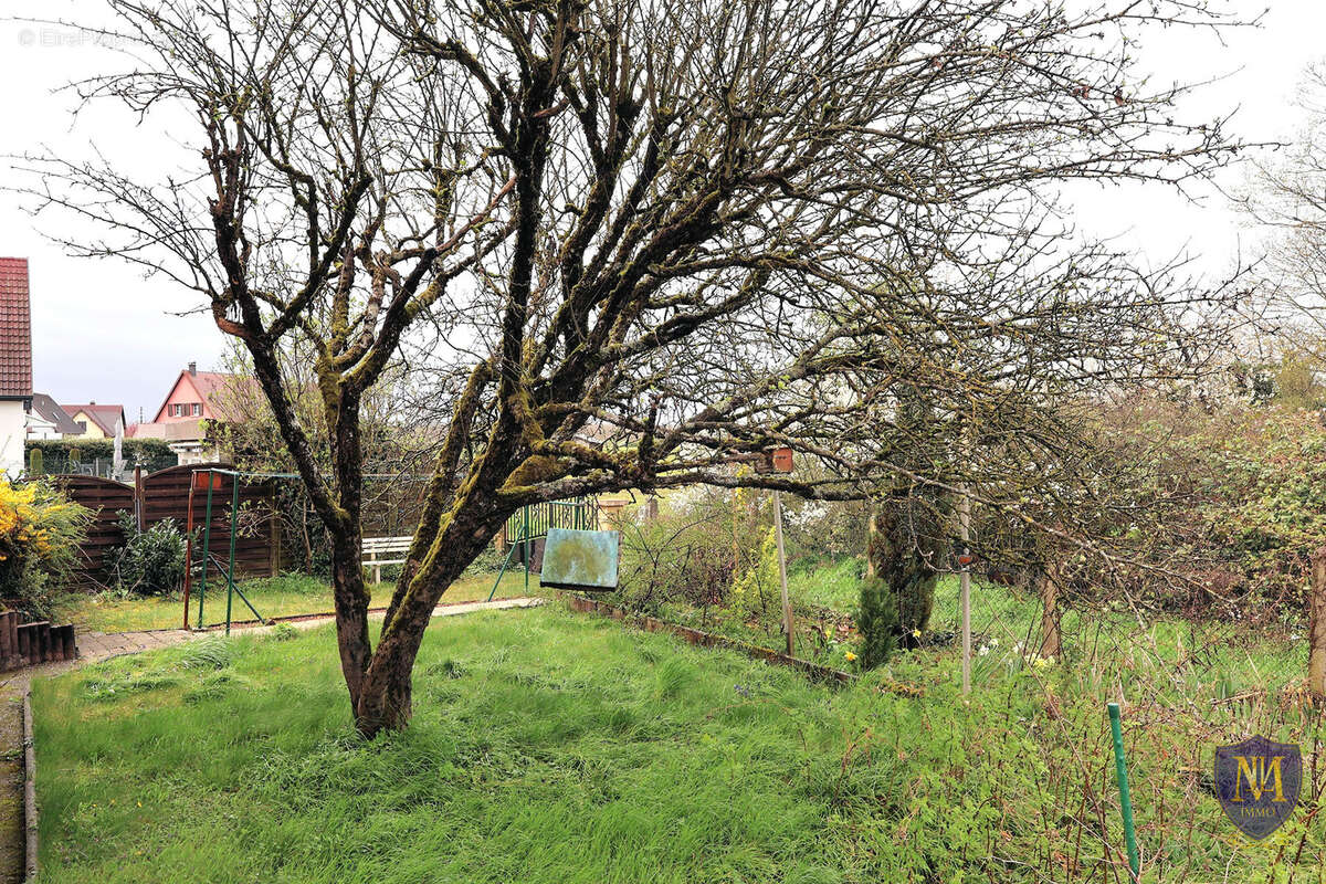 Maison à SAINT-LOUIS