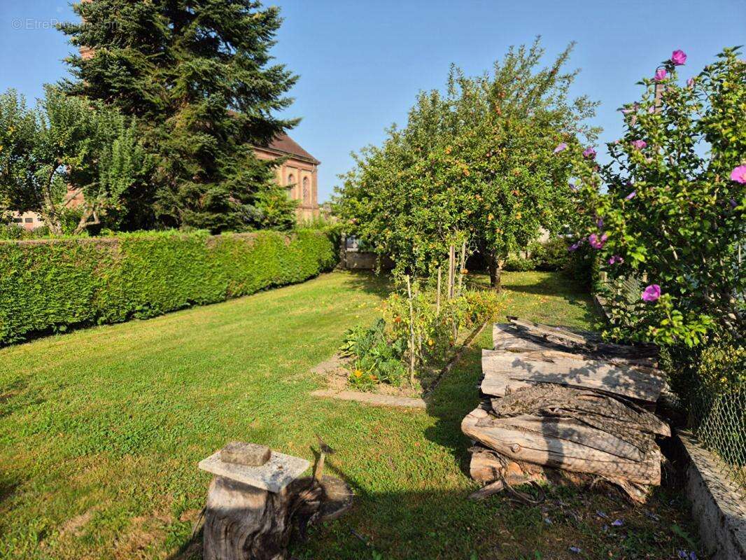 Maison Présentevillers 3 pièce(s) 103 m2 sur 742 m2 de Terrain - photo 11