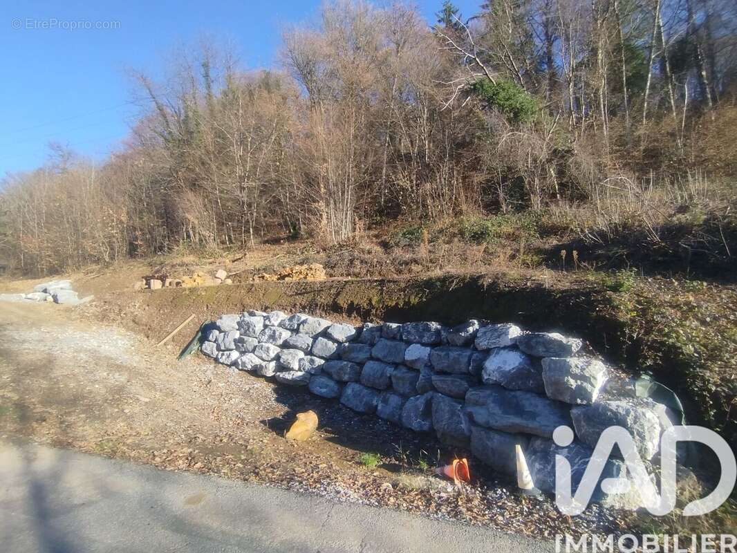 Photo 8 - Terrain à CESARCHES