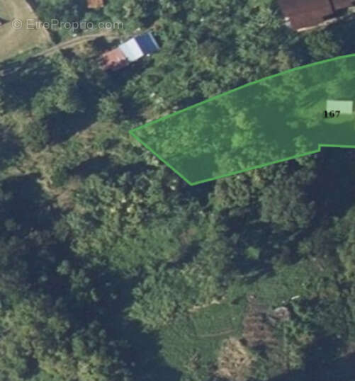 Terrain à LE MORNE-VERT