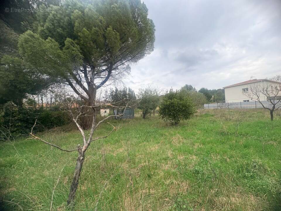 Terrain 1419 m² à Eguilles  - photo 3