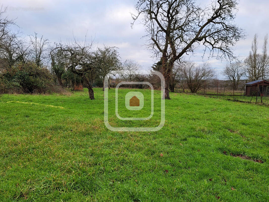 Terrain à FERE-EN-TARDENOIS